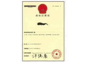 商標(biāo)注冊(cè)